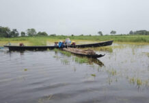 ၼမ်ႉထူမ်ႈၼႃး ထုင်ႉပုင်း