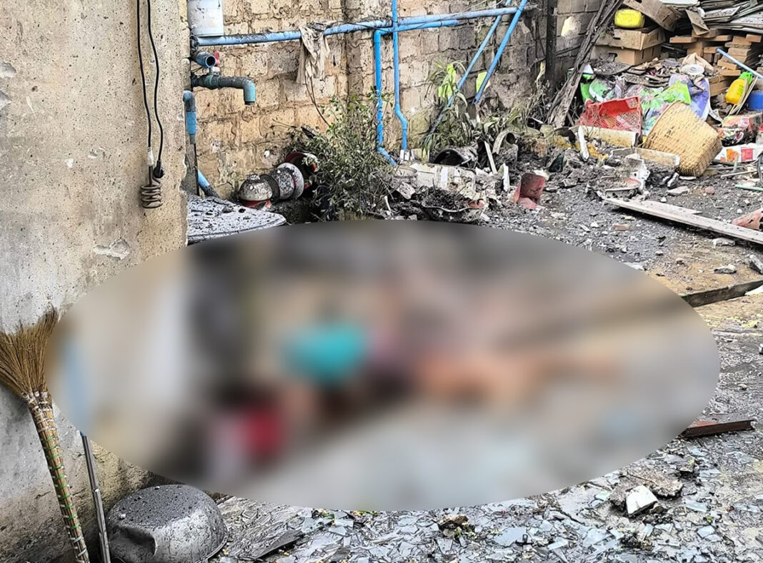 မၢၵ်ႇလူင် တူၵ်းသႂ်ႇ ၵူၼ်းသီႇပေႃႉ