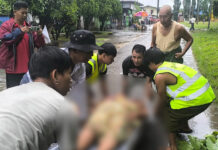 ၸၢၵ်ႇမၢၵ်ႇ တူၵ်းသႂ်ႇၵူၼ်းသီႇပေႃႉ