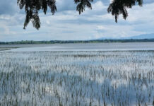 ထုင်ႉပူင်း