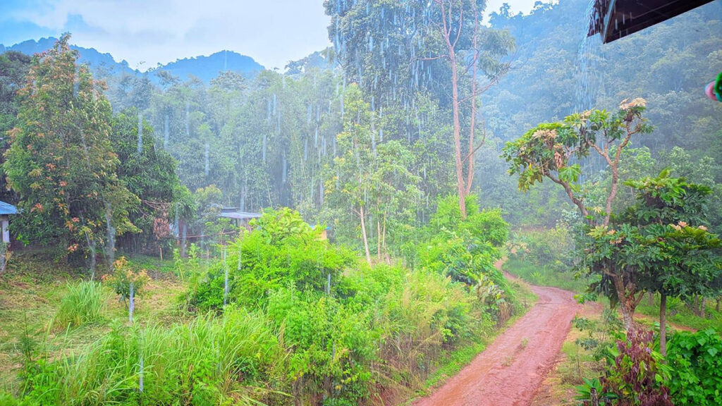 လွႆၶွၵ်ႈၼွႆႉ