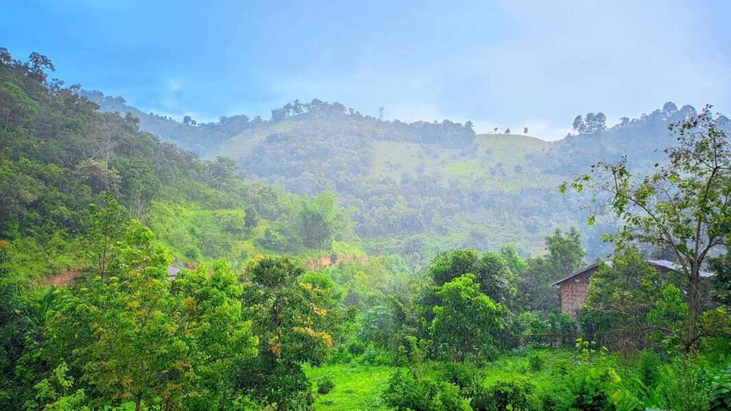 လွႆၶွၵ်ႈၼွႆႉ လွႆၶွၵ်ႈၼွႆႉ