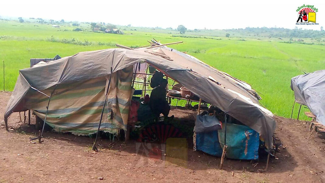 သုမ်ႉၵူၼ်းပၢႆႈၽေးသိုၵ်း သုမ်ႉၵူၼ်းပၢႆႈၽေးသိုၵ်း