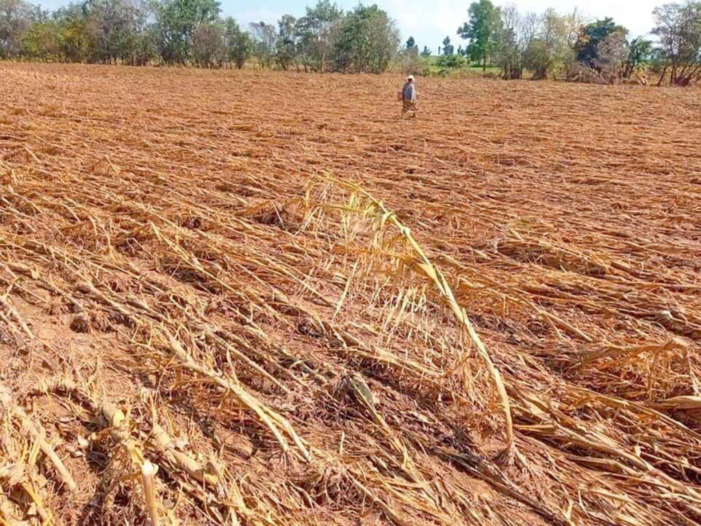 သူၼ်ၶဝ်ႈၵၢပ်ႇ