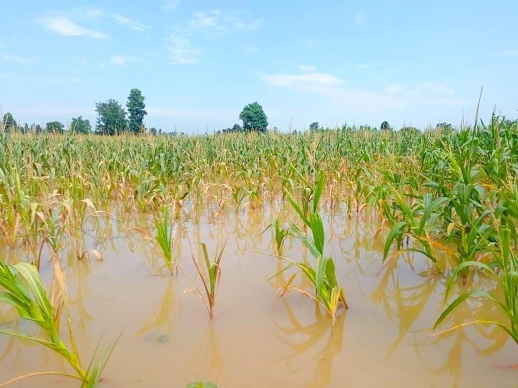 သူၼ်ၶဝ်ႈၵၢပ်ႇ