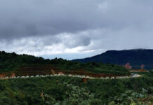 ၵႃးလူင် ၵိုတ်းၶမ်သဵၼ်ႈတၢင်း ၼႂ်းၵႄႈတူင်ႈတႃႈ – ၵဵင်းတုင် ၼပ်ႉႁူဝ်ပၢၵ်ႇ ၵႃးလူင်ၶမ်တၢင်း