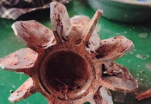 ၸၢၵ်ႇမၢၵ်ႇလူင်