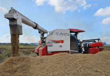 သိုၵ်းမၢၼ်ႈပိုၼ်ၽၢဝ်ႇ သင်ဢမ်ႇတၢင်ႇမၢႆၾၢင် ႁူင်းၵဵပ်းၶဝ်ႈသၢၼ် တေၺႃးဢဝ်လိူင်ႈ Rice