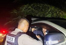 ပလိၵ်ႈထႆးတီႉလႆႈႁႅင်းၵၢၼ်မိူင်းမၢၼ်ႈ ပႃးတင်းမၢၵ်ႇၵွင်ႈၸိုၼ်းယၢမ်းတင်းၼမ်