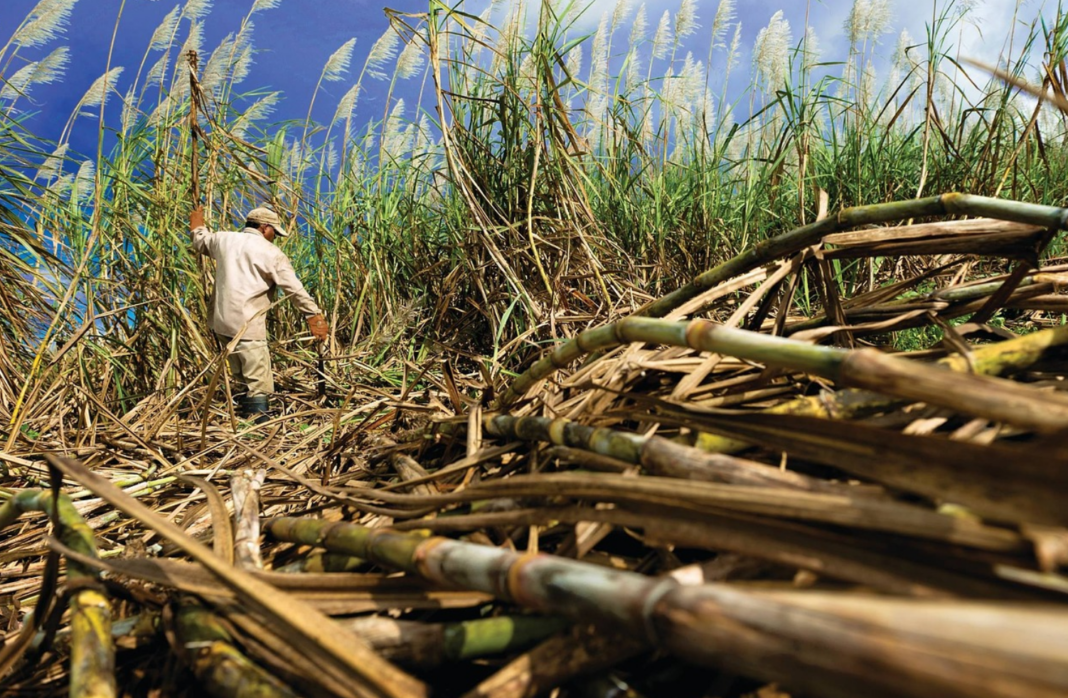 ၵူၼ်းမိူင်းႁိပ်ႈဢဝ်ဢွႆႈ ၽွင်းသဵင်ၵွင်ႈယဵၼ်