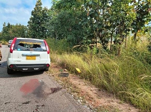 signal-2024-12-01-141653_002