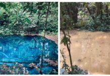 ၼမ်ႉၼွင်သွမ်ႇတီႈဝဵင်းယႂႃႇငၢၼ်ႇ ယဵၼ်းပဵၼ်ၼမ်ႉၼွင်ၶုၼ်ႇ ဝၢႆးလင်ၽႅၼ်ႇလိၼ်ဝႆ