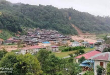 ၵူၼ်းမိူင်းဝဵင်းႁူဝ်ပူင်း မႆႈၸႂ် ၵူဝ်ၽႅၼ်ႇလိၼ်ဝႆလႄႈ ႁဵတ်းသုမ်ႉယူႇၸွမ်းၵၢင်ပၢင် Hopone