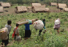 camp-management-and-development-696x443