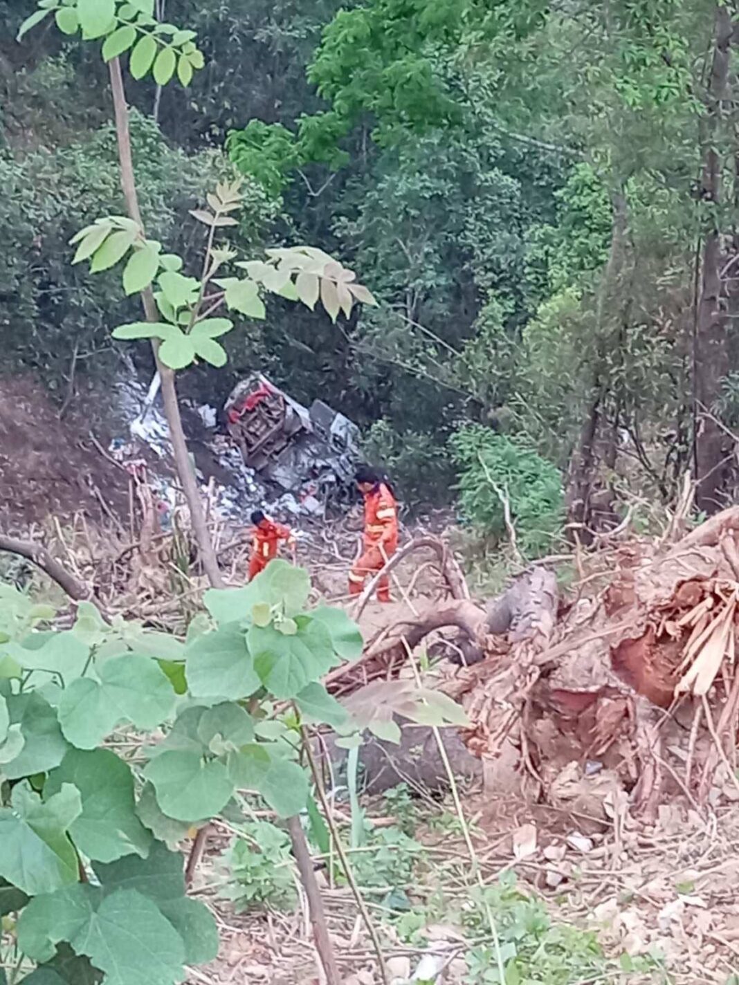 signal-2025-04-09-113545_004