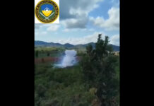 ပၢင်တိုၵ်းတင်း သိုၵ်းထၼု DPLA ၼႂ်းၸႄႈဝဵင်းလွၵ်ႉၸွၵ်ႇ သိုၵ်းမၢၼ်ႈ ၸႂ်ႉမၢၵ်ႇၵွင်ႉငူၼ်ႉပိုတ်းယိုဝ်း DPLF