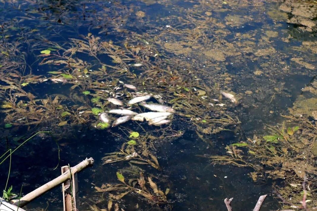 signal-2025-05-09-162134