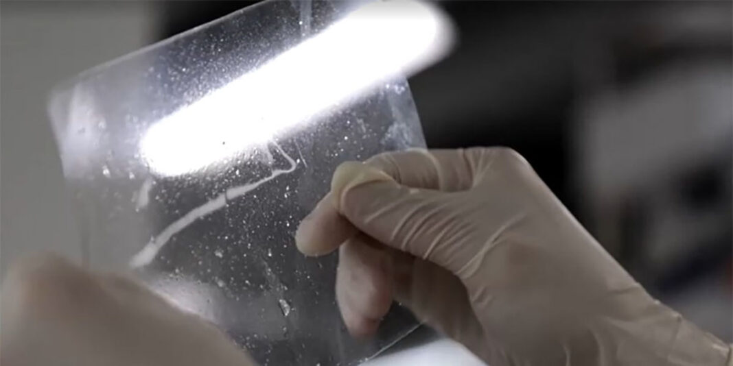 JapanPlastic_04062025