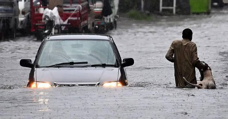 519677550_122225450468180219_3713758630148301783_n