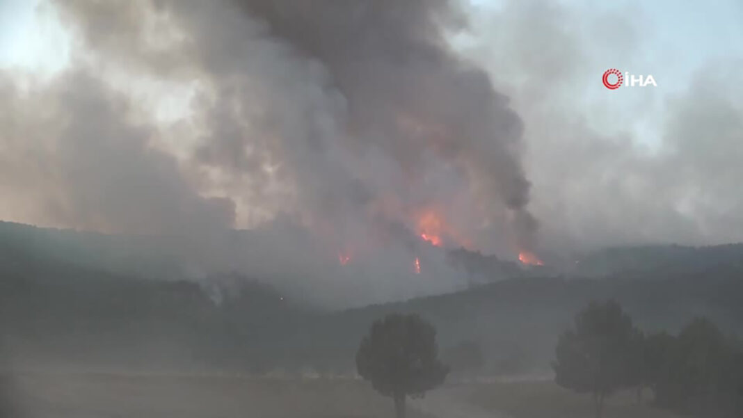 Wildfire in Turkey Wildfire in Turkey
