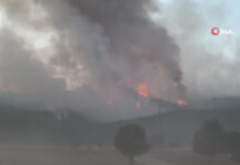 Wildfire in Turkey