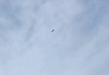 ပၢင်တိုၵ်းႁၢဝ်ႈႁႅင်း ၼႂ်းၸႄႈဝဵင်းၽႃၵၢၼ်ႉ သိုၵ်းမၢၼ်ႈၸႂ်ႉႁိူဝ်းမိၼ်တိုၵ်းပွႆႇမၢၵ်ႇသႂ်ႇပႃး