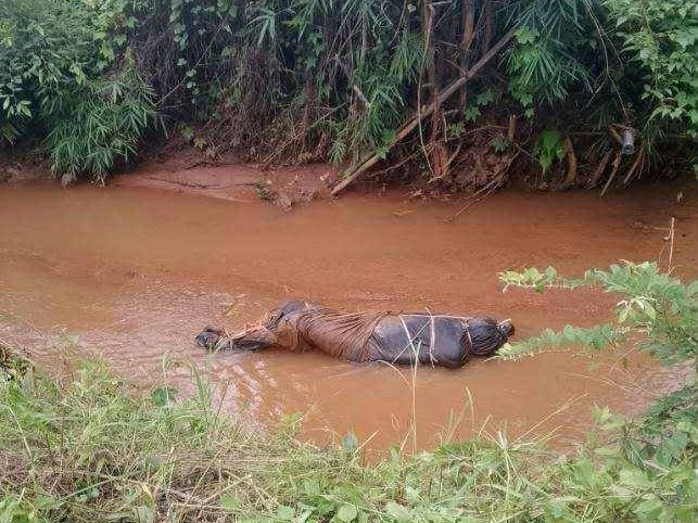 signal-2025-08-03-223747