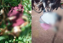 သိုၵ်းမၢၼ်ႈယိုဝ်း သင်ၶၸဝ်ႈ လႄႈ 3 ၵေႃႉမႄႈလုၵ်ႈ ၵၼ်ႉၸၼ်ၶႃႈႁႅမ်လုၵ်ႈဢွၼ်ႇ 16 ၶူပ်ႇ