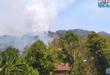 ပၢင်တိုၵ်းပဵၼ်ၶိုၼ်း ၼႂ်းၸႄႈဝဵင်းပၢင်လွင်း ၵူၼ်းမိူင်းမႆႈၸႂ်လွင်ႈႁူမ်ႇလူမ်ႈ