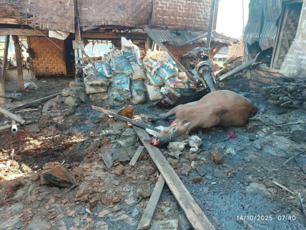 signal-2025-10-14-100621_005