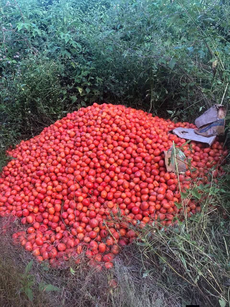 signal-2025-10-28-165806