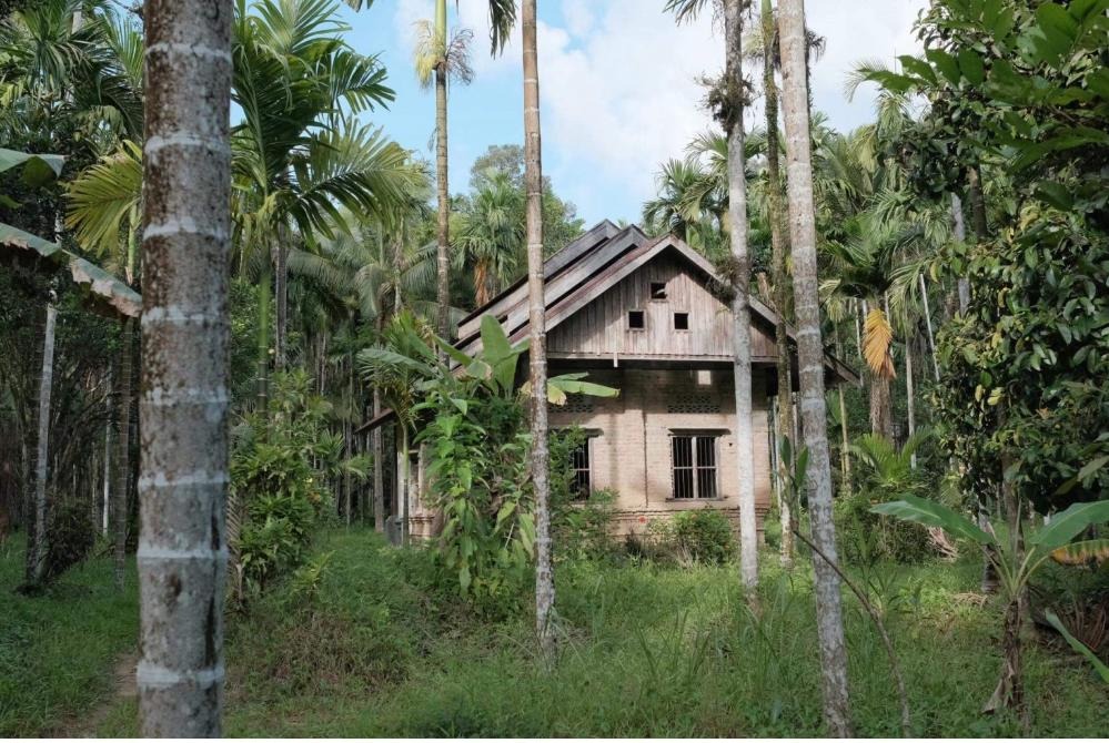 ႁၢင်ႈ ႁိူၼ်းၵူၼ်းထႆး ၼႂ်းတိူင်းတၼၢဝ်းသီ