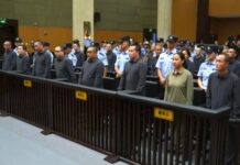 ၶႄႇ ပၼ်တၢမ်ႇတၢႆ ၵူၼ်းႁူမ်ႈႁိူၼ်း ႁူဝ်ၼႃႈပျီႇတူႉၸိတ်ႉၵဝ်ႈၵၢင်ႉ 11 ၵေႃႉ