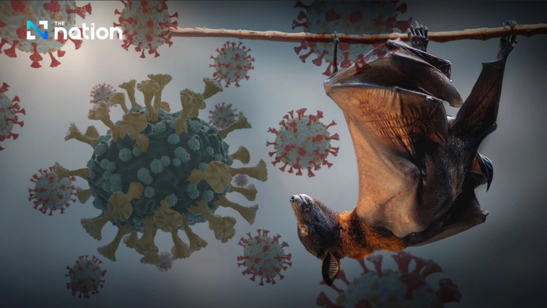 Nipah Virus