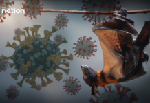 တၢင်းပဵၼ်ဝၢႆႊရၢတ်ႉသ် ၼီႊပႃႊ လၢမ်းၽႄႈၼႂ်းမိူင်းၵြႃး ၵူၼ်းၸပ်းတၢင်းပဵၼ်မီး 100 ပၢႆယဝ်ႉ