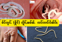 မႅင်းတွင်ႉ (ႁိုဝ်) တိူၵ်ႇၼမ်ၼႆႉ ၸပ်းတၢင်းပဵၼ်ငၢႆႈ