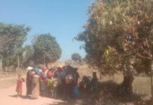 ပျီႇတူႉၸိတ်ႉ PNO ပိုၼ်ၽၢဝ်ႇ ယိုတ်းလႆႈငဝ်ႈငုၼ်းၵဝ်ႇ PNLA ၼႂ်းၸႄႈဝဵင်းမွၵ်ႇမႆႇ