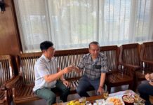 တူဝ်တႅၼ်းၸုမ်းပျီႇတူႉၸိတ်ႉပဢူဝ်း PNO ၵႂႃႇဝဵင်းပၢင်သၢင်း