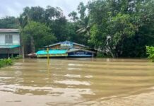 ၼမ်ႉမၼ်းၸိူဝ်ႉၾႆးၵႃႈယႂ်ႇလႄႈ တႃႇၸွႆႈၵူၼ်းထူပ်းၽေးၼမ်ႉၾၢႆတႅၵ်ႇၼၼ်ႉ ယၢပ်ႇၽိုတ်ႇ