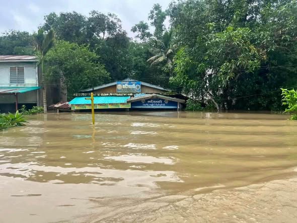 Float at Irrawaddy Division