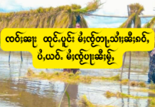 ၸဝ်ႈၼႃး ထုင်ႉပူင်း မႆႈၸႂ်တႃႇသၢႆႈၼီႈၵဝ်ႇ ပႆႇယဝ်ႉ မႆႈၸႂ်ပႃးၼီႈမႂ်ႇ