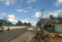 သိုၵ်းမၢၼ်ႈ ဝႃႈတႃႇႁူမ်ႇလူမ်ႈၼႆသေ လိုပ်ႈၵူၼ်းမိူင်းယႂႃႇငၢၼ်ႇ ပၢႆႈဢွၵ်ႇဝၢၼ်ႈ
